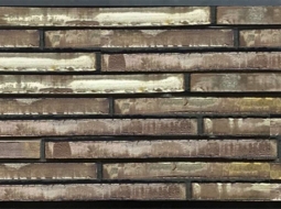 Кирпич лицевой керамический Ригель Hans Bekker 172